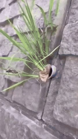 99a834ad06a571c7f505d93e419270d8.gif